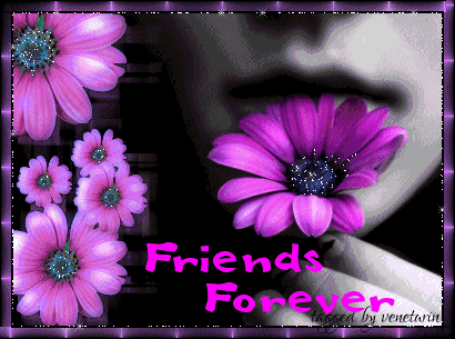 "Friends forever" - Gerberas mauves sur noir et blanc...