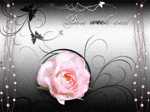 Rose rose sur un fond gris perlé "Bon week-end"...