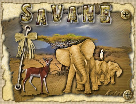 "Savane" - La terre des éléphants, antilopes et marabouts...