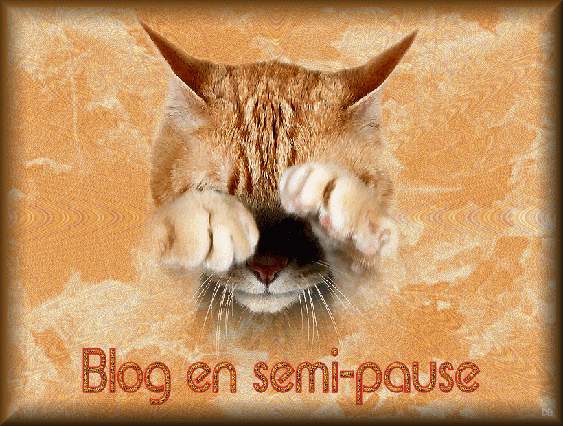 Chat roux se frottant les yeux "Blog en semi-pause"...