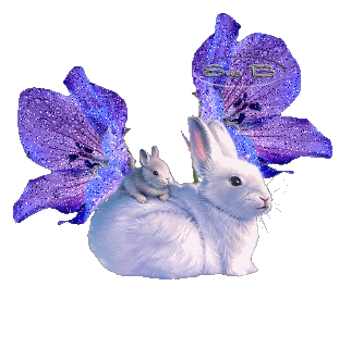 Lapin blanc, son bébé sur le dos devant des fleurs bleues...