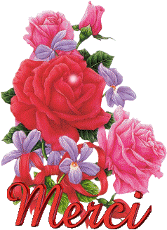 Roses rouges et violettes "Merci"...