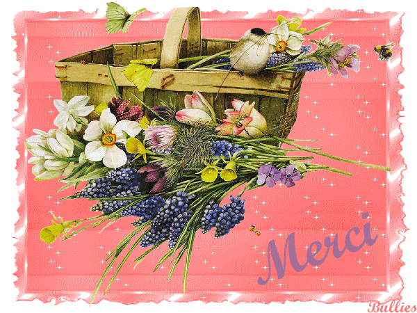 "Merci" - Bouquet de fleurs des champs... - Centerblog