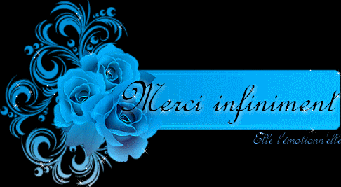 "Merci infiniment" - Roses bleues...