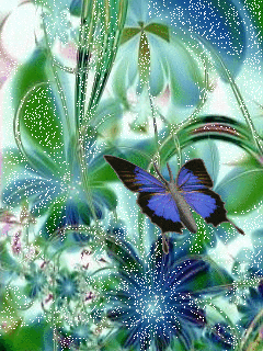 Papillon bleu survolant des fleurs bleues...