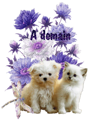 Chiot et chaton blancs devant un bouquet mauve "A demain"...