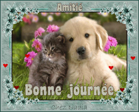 "Amitié. Bonne journée" - Chiot et chaton sur fond de fleurs