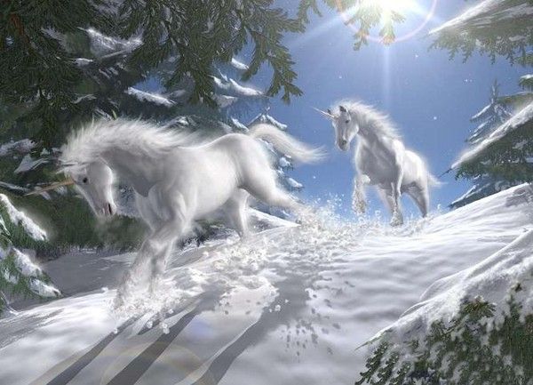 Licornes galopant dans la neige...