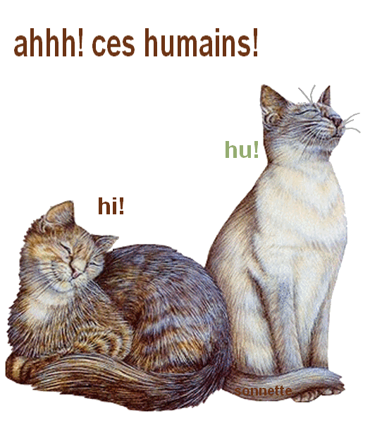 Deux chats "Ahhh! Ces humains! Hi! Hi! Hi!"...