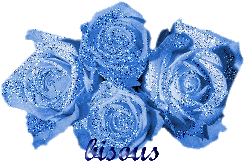 "Bisous" - Bouquet de roses bleues...