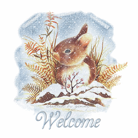 "Welcome" - Petit lapin sous la neige...