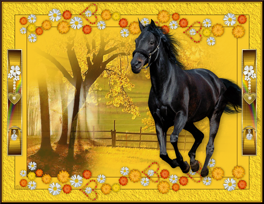 Cheval noir sur un paysage jaune...