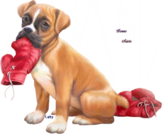 "Bonne soirée" - Boxer...