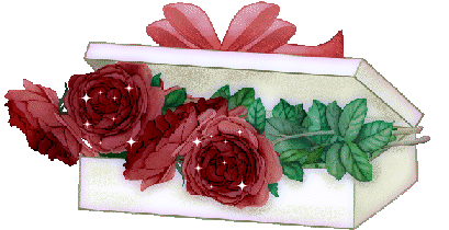Des roses livrées en boîte...