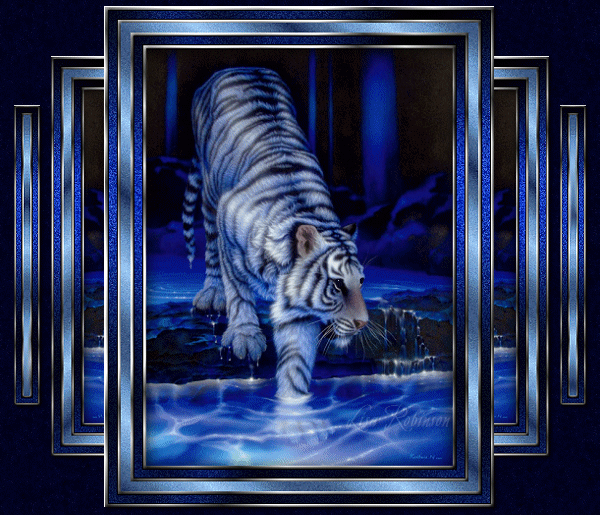 Tigre blanc une patte dans l'eau