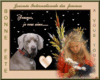 "Bonne Fête à vous toutes" - KDO POUR VOUS...