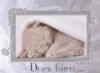 Paisiblement endormi "Dors bien..."...