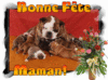 BONNE FÊTE A TOUTES LES MAMANS DE CENTER ET D'AILLEURS
