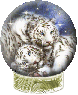 Tigres blancs - Couple - Globe