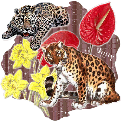 Jaguard et léopard