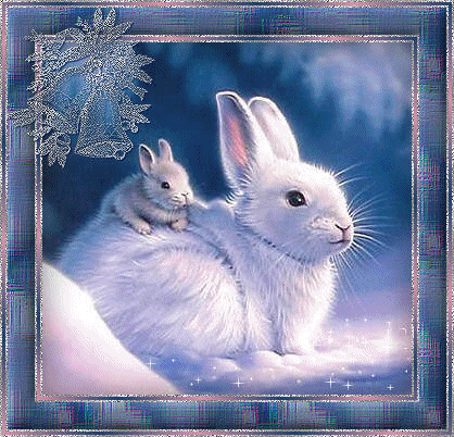 Une lapine blanche et son bébé sur le dos